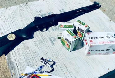 1,000 Rounds Later: The Stoeger P3000