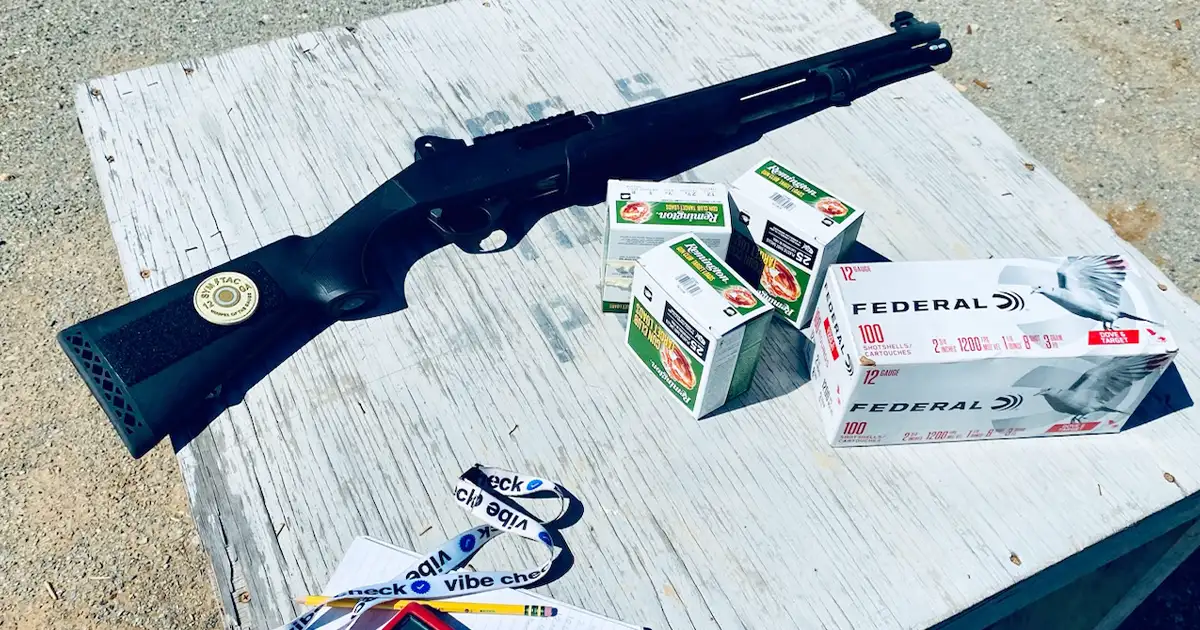 1,000 Rounds Later: The Stoeger P3000