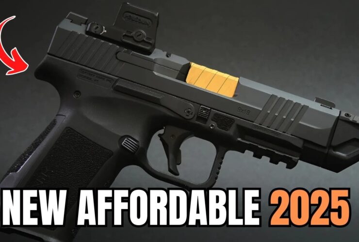 5 New Affordable Guns You MUST BUY In This Market (2025)