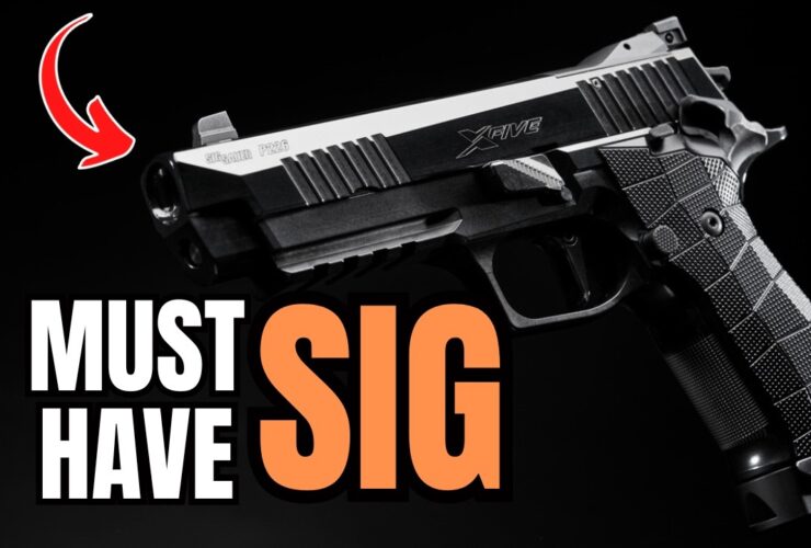 Top 4 SIG Sauer Guns You MUST Check Out in 2025!