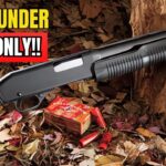 5 Best Affordable Guns Under 0 You Should Get Right Now!