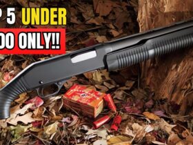 5 Best Affordable Guns Under 0 You Should Get Right Now!