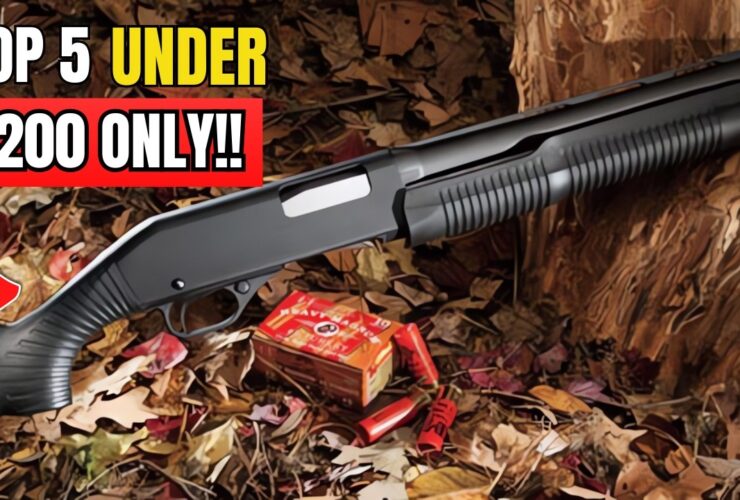 5 Best Affordable Guns Under 0 You Should Get Right Now!