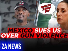 Mexico Sues US Over Gun Violence