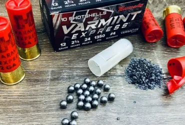Evaluating Hornady’s Varmint Express #4 Buckshot
