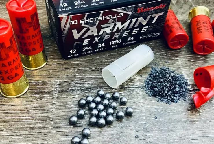 Evaluating Hornady’s Varmint Express #4 Buckshot