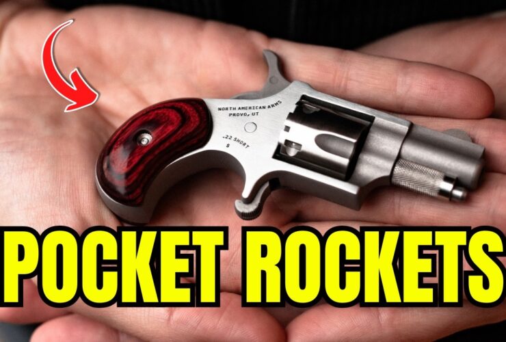 TOP 5 Smallest Handguns You Can Own in 2025 [Best Pocket Pistols]