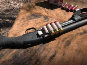 Is the Shockwave Still Useless?
