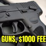 Top 5 Guns Under 0 – These Feel Like 00 Guns!