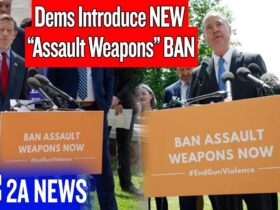 New 2025 Assault Weapons Ban Introduced By Democrats