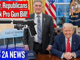 Wow, Republicans Block Pro Gun Bill!