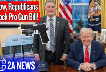 Wow, Republicans Block Pro Gun Bill!