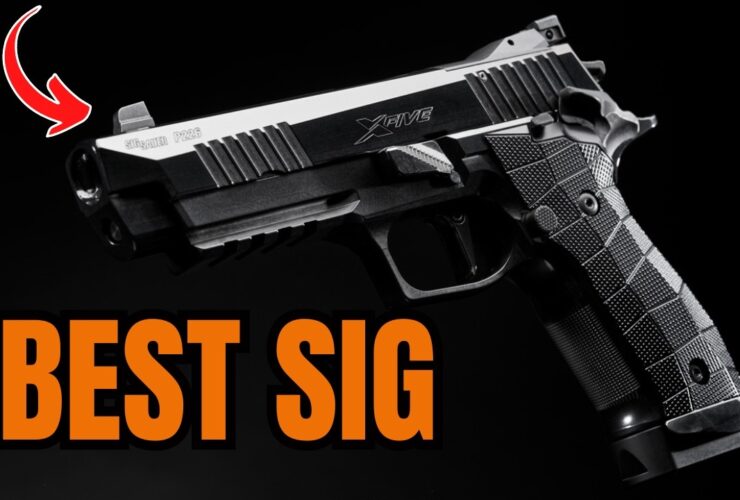 Top 5 SIG SAUER Guns That Will Dominate Market 2025