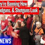 They’re Banning Guns Based on Looks Now?! | Rhode Island S539 & H5436