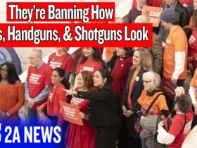 They’re Banning Guns Based on Looks Now?! | Rhode Island S539 & H5436