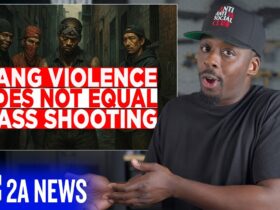 Mass Shootings or Gang Violence? The Lie That’s Fueling Gun Control