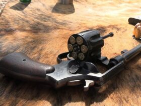 Would This be YOUR Choice for  a Go-To-War Revolver?