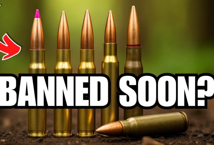BIG Shortage INCOMING: 7 Calibers Every Gun Owner Should Stock in 2025!