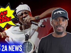 Rapper Flava Flav Wants To Ban Guns Except For Cops!