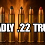 Why Criminals Fear The .22 Magnum More Than You Think