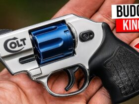 Why This Cheap Revolver Might Be the Smartest Gun You’ll Ever Buy!