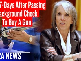 You Need A Gun Tonight But The Current Law Forces You To Wait A Week