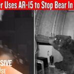 Armed Homeowner With AR-15 Defends Against Bear Breaking In At Night