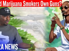Should Marijuana Smokers Own Guns?