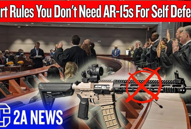Court Rules You Don’t Need AR-15s For Self Defense