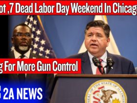 54 Shot 7 Dead Labor Day Weekend In Strict Gun Controlled Chicago, Governor Wants More Gun Control