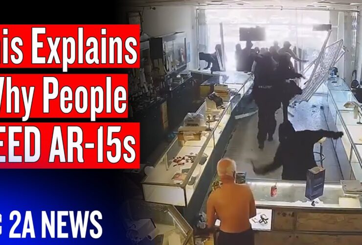 The One Video That Explains Why People Need AR-15s The One Video That Explains Why People Need AR-15s