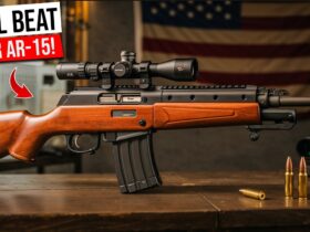 10 Reasons the Ruger Mini-14 DESTROYS the AR-15!