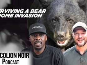 A Bear, an AR-15, and a Home Invasion