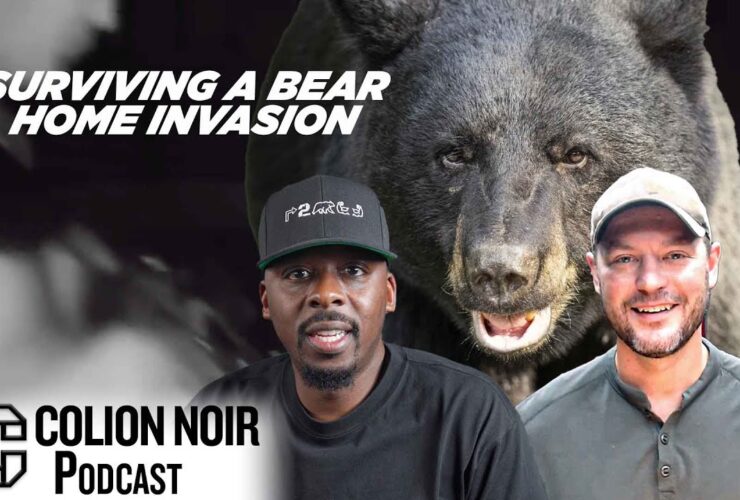 A Bear, an AR-15, and a Home Invasion A Bear, an AR-15, and a Home Invasion