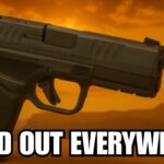 Sold Out Everywhere: The Guns Americans Are Rushing to Buy