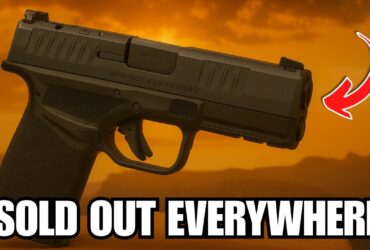 Sold Out Everywhere: The Guns Americans Are Rushing to Buy