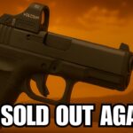 Americans Can’t Stop Buying THESE 7 Glocks in 2025!