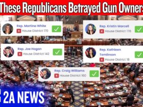 5 Republicans Just Betrayed Gun Owners in Pennsylvania