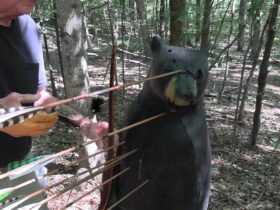 Are Pulleys and Wheels Necessary for Bear Hunting? Are Pulleys and Wheels Necessary for Bear Hunting?
