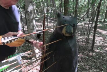 Are Pulleys and Wheels Necessary for Bear Hunting? Are Pulleys and Wheels Necessary for Bear Hunting?