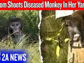 She Shot an Escaped Monkey — But Was She Wrong?