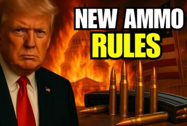 Federal Court Just Shook 2A Again – 10 Ammo Rules You Can’t Ignore Federal Court Just Shook 2A Again – 10 Ammo Rules You Can’t Ignore