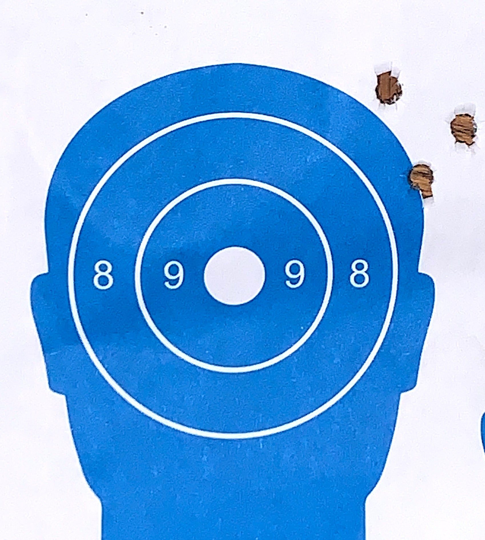 Hi-Point-HP-15-556-target-scope