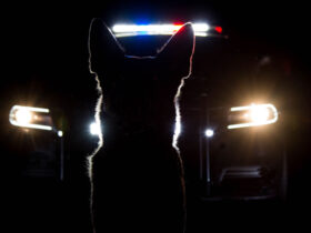 Concealed Carrier Caught After K9 Detects Gun at Highland Park, IL High School Game