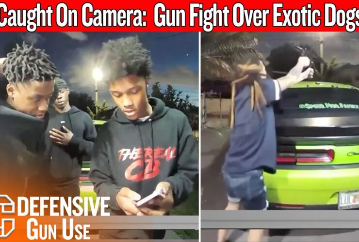 Exotic Dog Deal Turns Into a Gunfight On Camera… What Went Wrong? Exotic Dog Deal Turns Into a Gunfight On Camera… What Went Wrong?