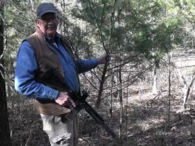 Christmas Tree Hunt 2025