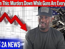 America Doesn’t Have a Gun Problem — The Data Just Proved It