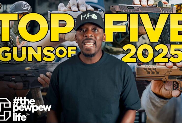 Top 5 Guns of 2025