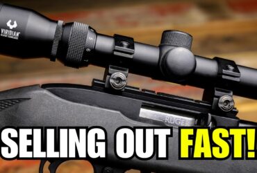 These 6 Guns Are Selling Out in 2025, And Nobody Saw It Coming!
