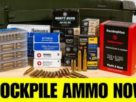 7 Rounds Every American Should Stockpile Before The 2026 Ammo Crunch!